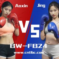 BW-FB24-Aoxin VS Jing(Custom)