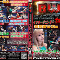 BWO-06（会議提出前