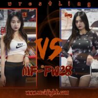 MF-FW28