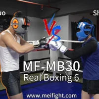 MF-MB30