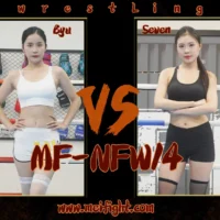 MF-NFW14